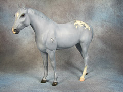 Lot 20 - 'Appaloosa Twill' QH Yearling in blue denim with diamond bling spots