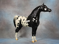 Lot 14 - Glossy Black Blanket Appaloosa Proud Arabian Stallion (mold #211)