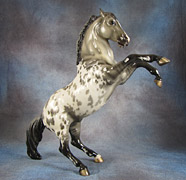 Lot 23 - Glossy Grullo Appaloosa Fighting Stallion (mold #31). This is also the Sunday Raffle Model!